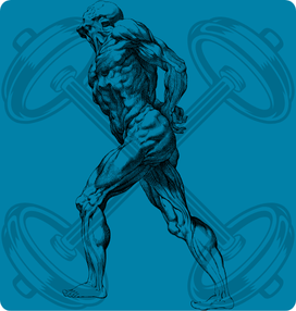 Físico-constructivismo